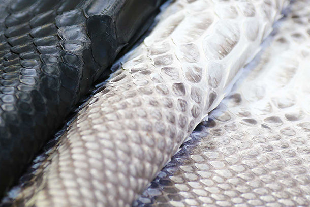 Snake Leather Collection – RealCroco